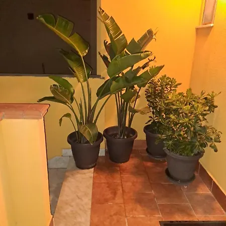 Bbcamere Policlinico 3*