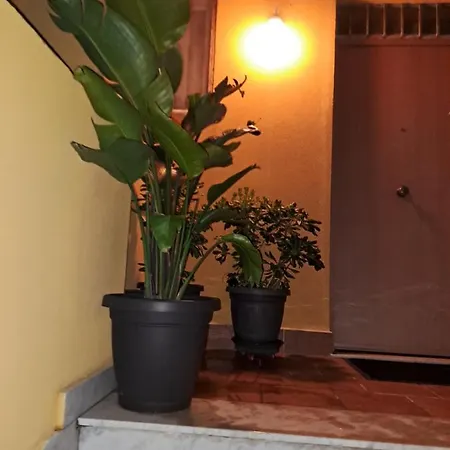 بيت ضيافة Bbcamere Policlinico مسينا